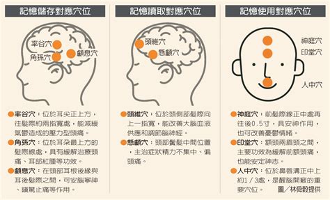 思維穴|延緩大腦退化！中醫授按壓8健腦穴位改善健忘、腦霧後遺症，增。